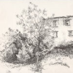 Disegni