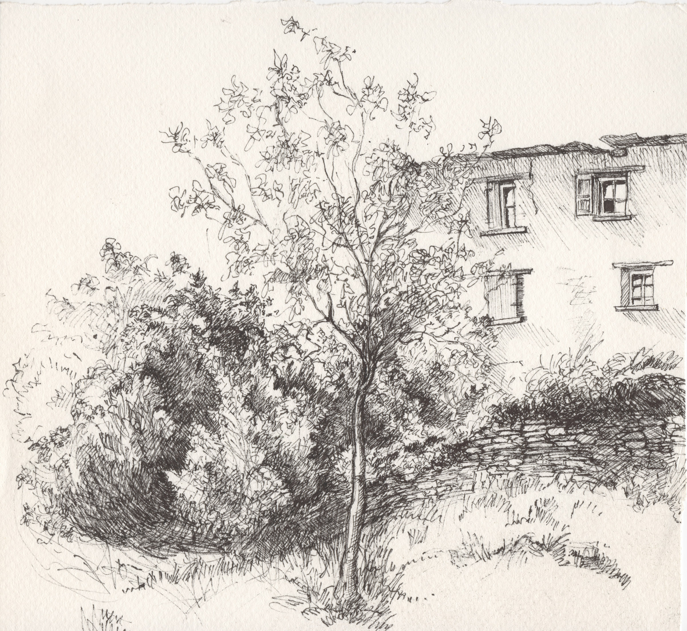 Disegni